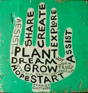 plantdreamgrow